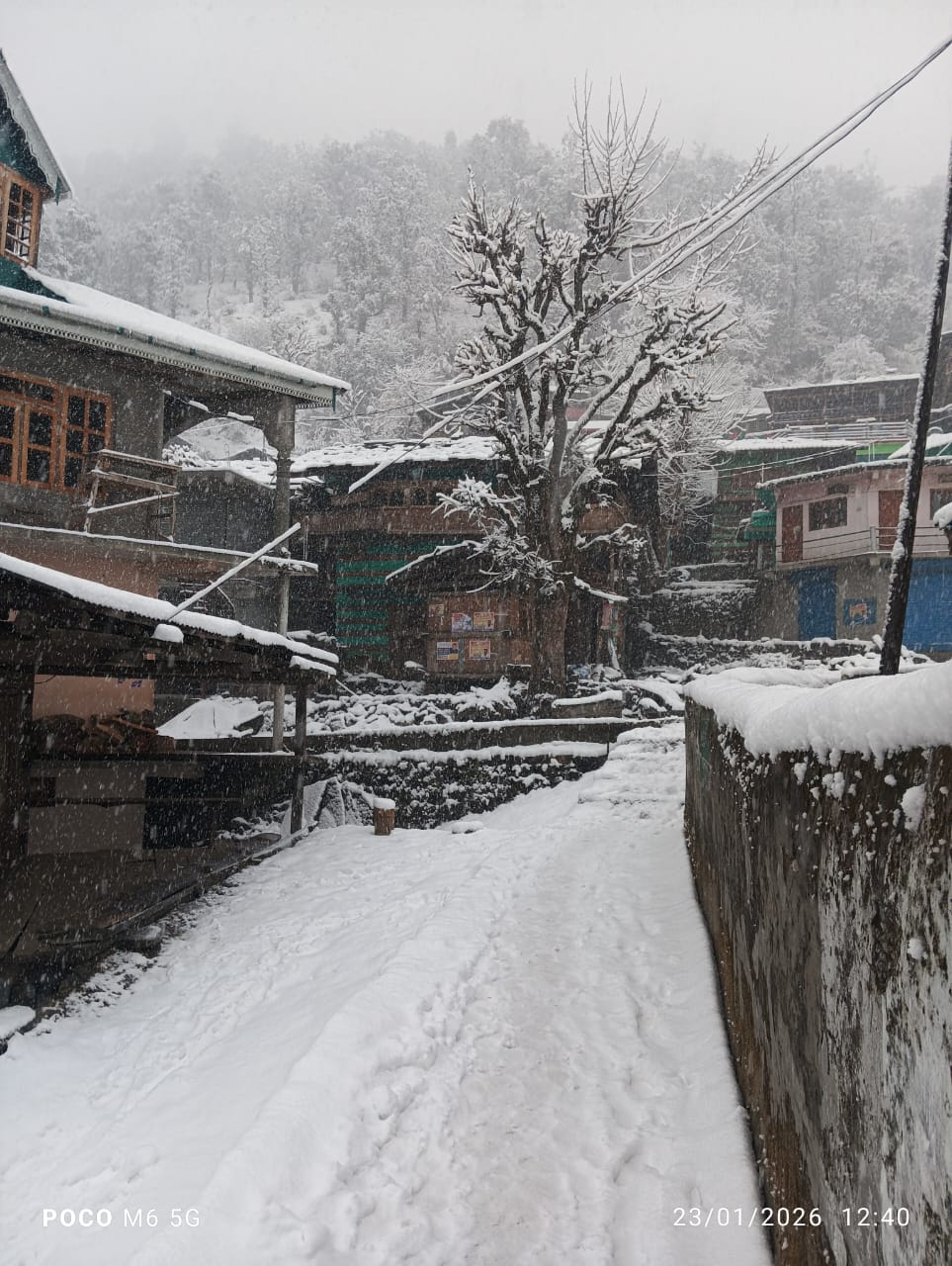 WhatsApp Image 2026-01-23 at 6.43.18 PM