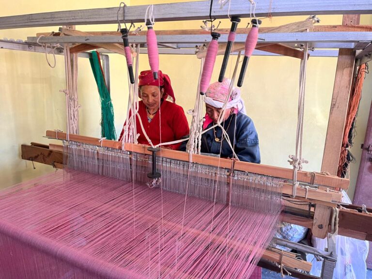 WhatsApp Image 2026-01-23 at 7.13.11 PM