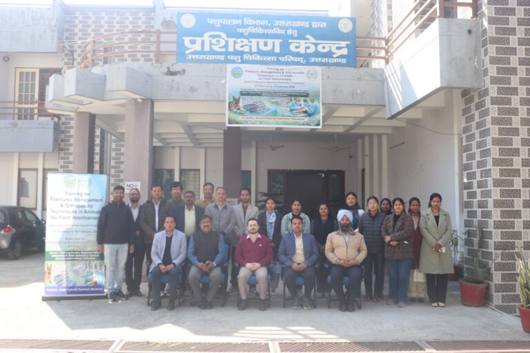 WhatsApp Image 2026-02-17 at 7.20.52 PM