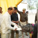 WhatsApp Image 2026-02-19 at 11.02.17 PM