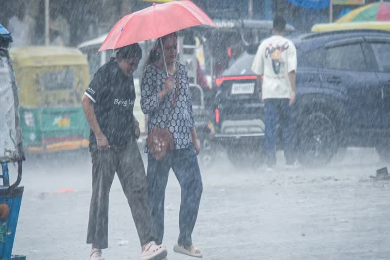hindi-news-30.jpg
